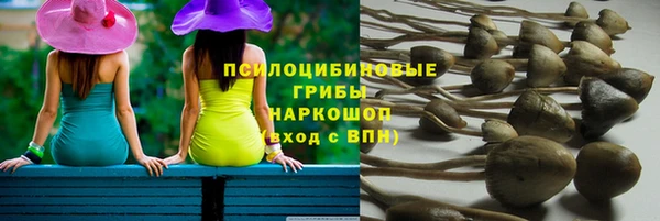 дурь Богородск