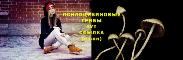 MDMA Богородицк
