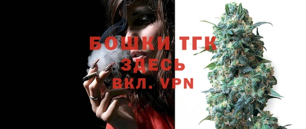 стаф Бородино