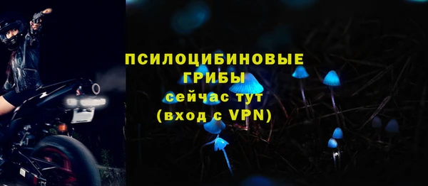 мяу мяу кристалл Богданович