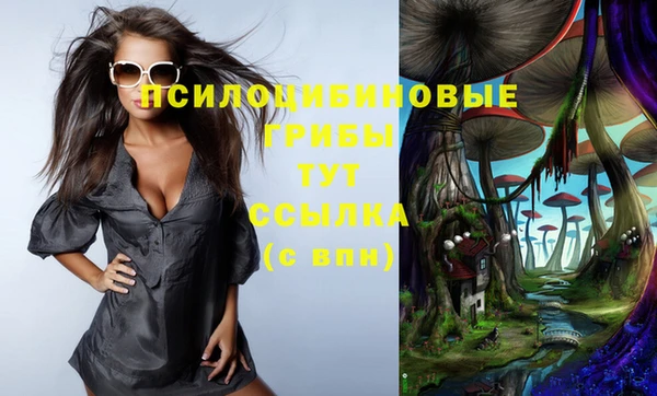 мяу мяу кристалл Богданович