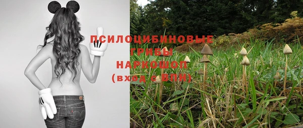 мяу мяу кристалл Богданович