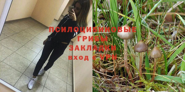 MDMA Богородицк