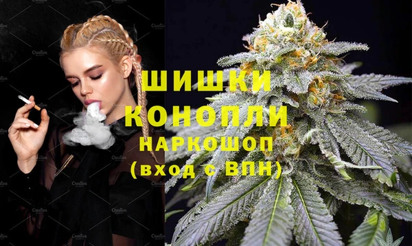 стаф Бородино