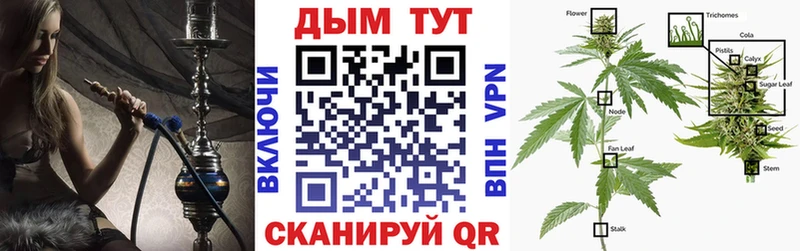 Купить где  Духовщина  Бошки Шишки Ganja 